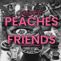 PEACHES AND FRIENDS. REMIX