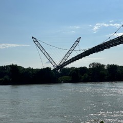 Delight 8 - Augst Fckd