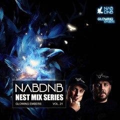 NAB DNB Nest Mix Series [Glowing Embers] - Vol 21