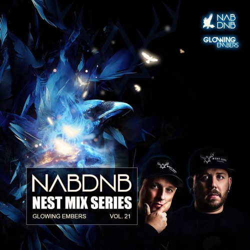 NAB DNB Nest Mix Series [Glowing Embers] - Vol 21