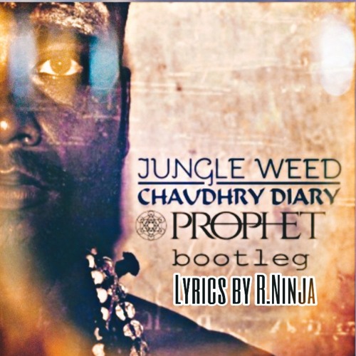 Pristine Feat. Craig R Ninja - Jungle Weed (Prophet Bootleg)
