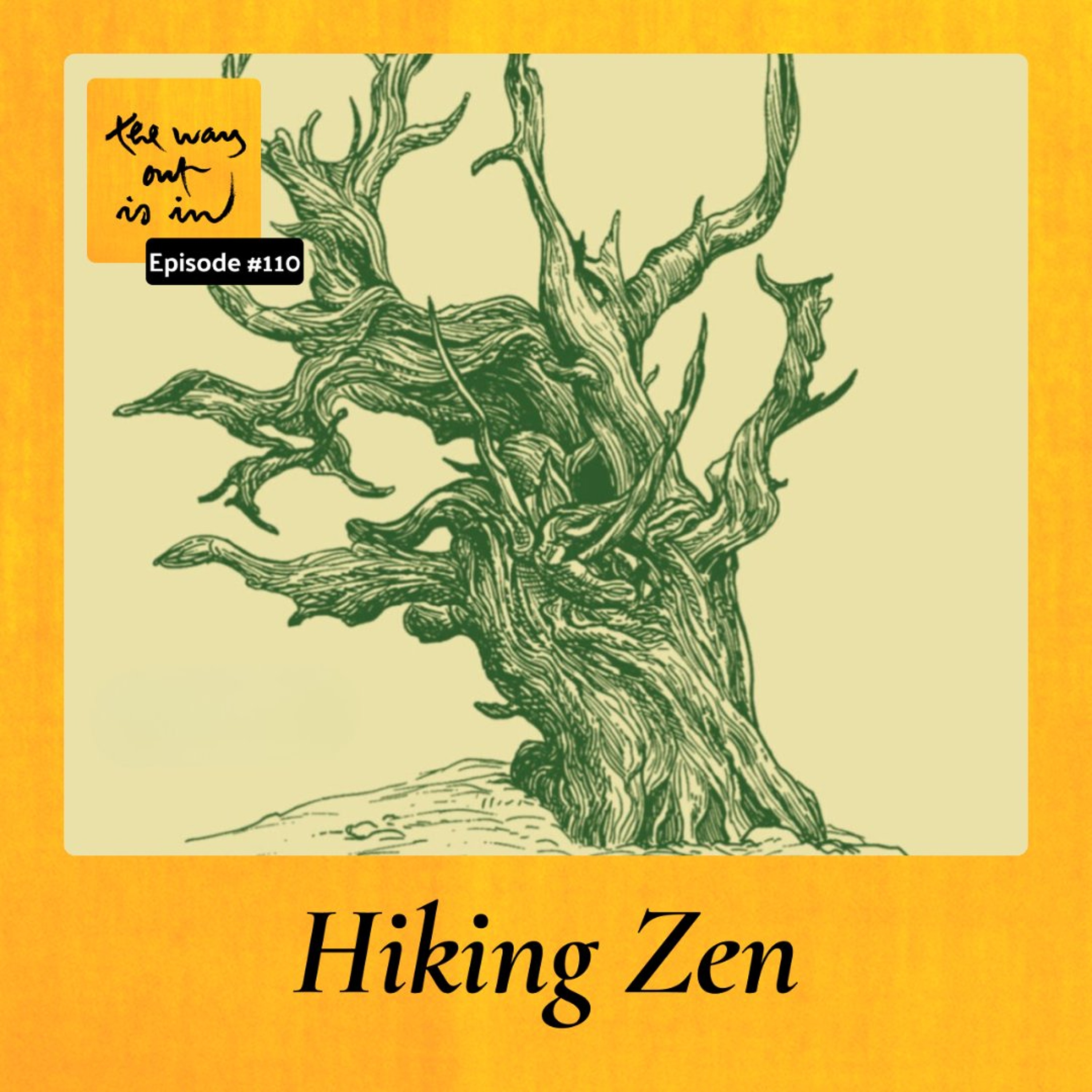 Hiking Zen | TWOII podcast | Episode 110 episode artwork