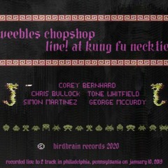 Earth (Alice Coltrane)