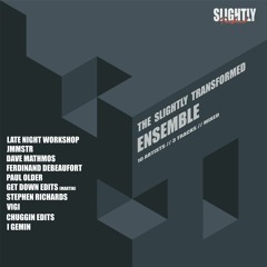 The Slightly Transformed Ensemble -  10 Artists 3 Tracks Each (NuDisco)