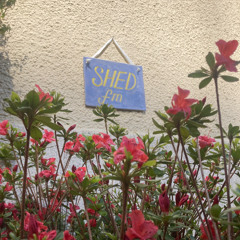Shed FM - 2 take 2