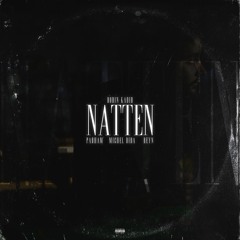 Natten (feat. Parham, Reyn & Michel Dida)