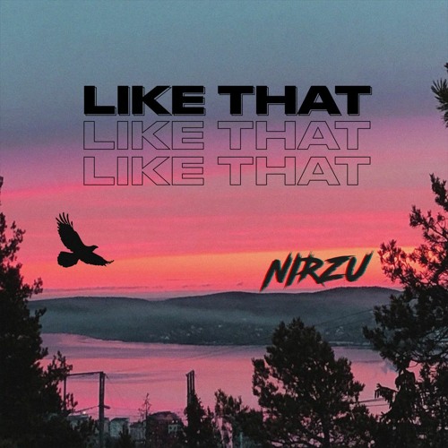 Nirzu - Like That