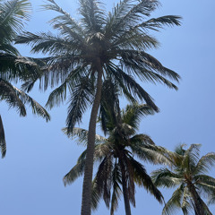 احبك يا نظر عيني