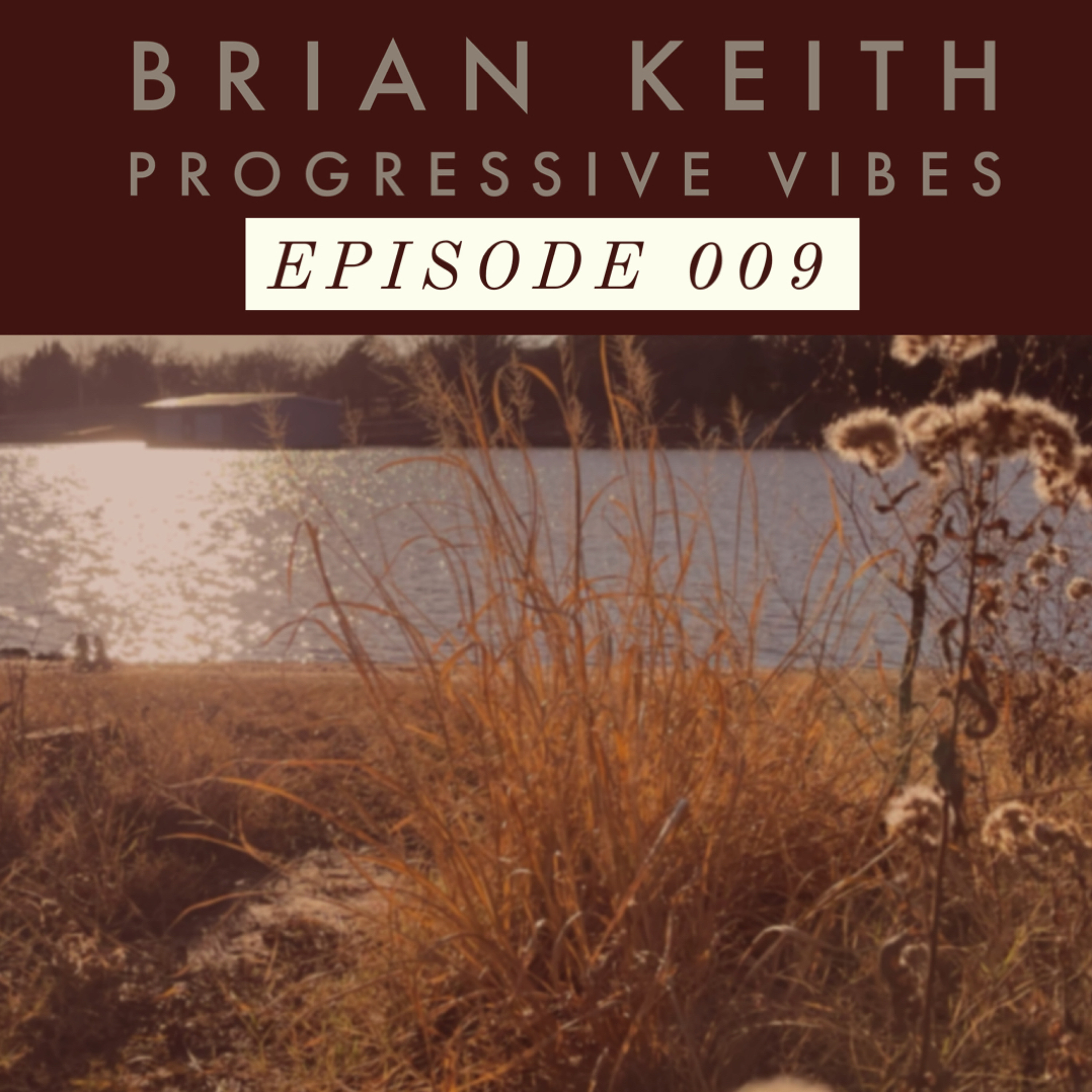 Brian Keith - Progressive Vibes