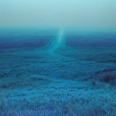 Distant Mind