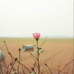 Dj.DamianR -  Święta Rito – Róża z Cascii