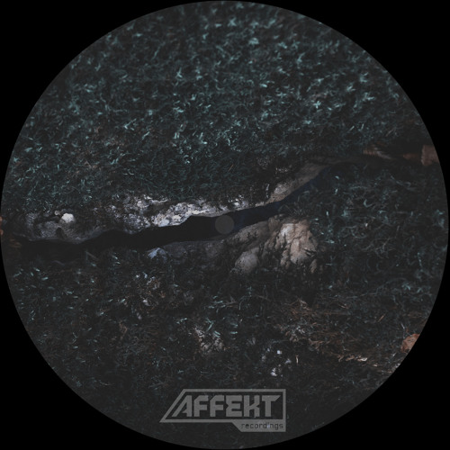 Meta Reference (Original mix)