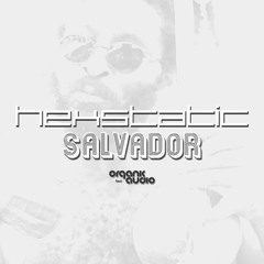 Salvador (Seiji's Bugz In The Attic remix)