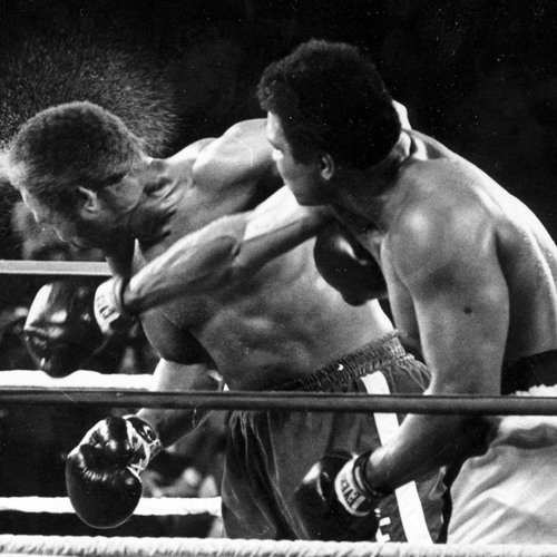 Rumble In The Jungle!