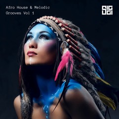Afro House & Melodic Techno Grooves Vol 1