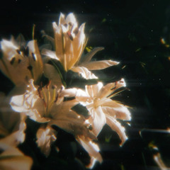 broken shells//if it’s not you (tempo switch)