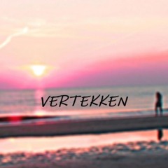 Endlos... - VERTEKKEN (Tekk remix)