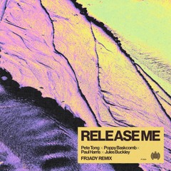 Release Me (FR3ADY Remix) [feat. Jules Buckley]