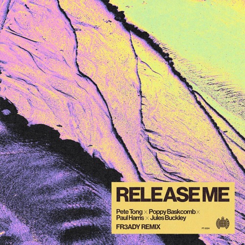 Release Me (FR3ADY Remix) [feat. Jules Buckley]