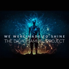 We Were Made To Shine - David Samuel