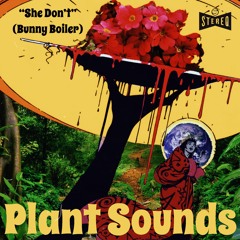 She Don't (Bunny Boiler)