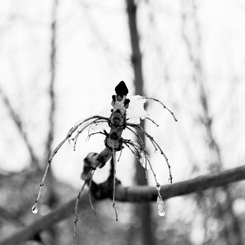 Substencia - Planinata