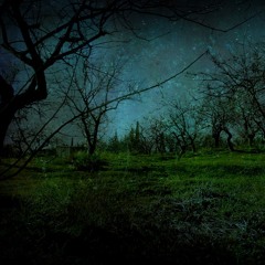 Night Shadows