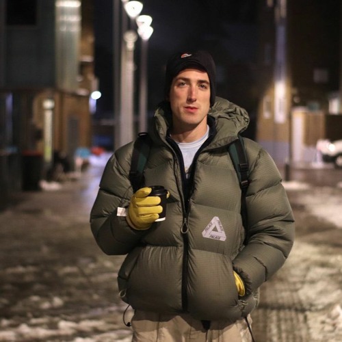 Palace pal tex hot sale puffa