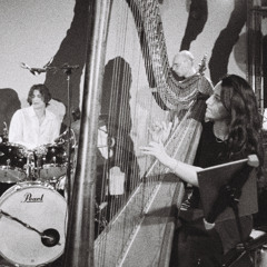 SHOLTO -  Honey & Wine  (In Session at TRC)