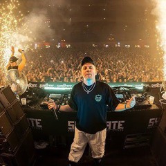 MAD DOG  - SYNDICATE 2024