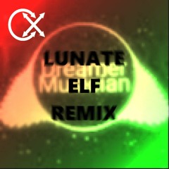Dreamer Musician - Lunate Elf (CARELEXX REMIX)