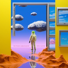 The Polish Ambassador - Space West