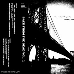 PREMIERE: Adam Raphael - Can't Be Bothered [LAKE SHORE DRIVE RECORDS]