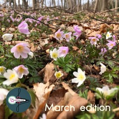 TMC Records - March playlist 2024