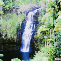 GORWLA ! 🦍⚡️ - POWER ! ⚡️