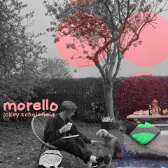 Morello