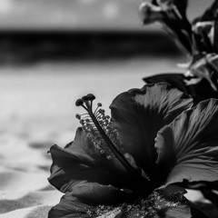 Dj india slow remix🔥 (oldie)