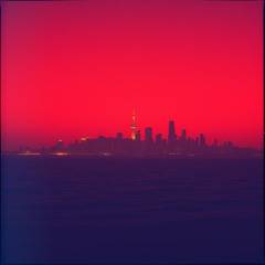 Crimson Night Pulse