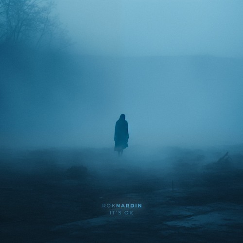 Rok Nardin - It's Ok