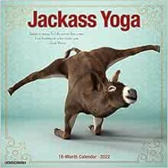 [Download] EBOOK ☑️ Jackass Yoga 2022 Wall Calendar by Willow Creek Press PDF EBOOK E