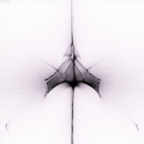 BCCO Premiere: Dima Kachan - Not That Sea [DRSS1100]