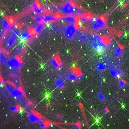 So High (6luu x wixchmade x danny)