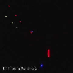 UNK^OWN: VOLUME 2