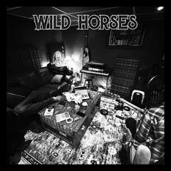 Jay Cameron Weber - Wild Horses