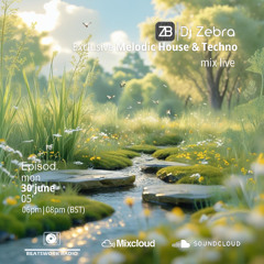 Exclusive Melodic House & Techno Mix Live by DJ Zebra for Beatsworkradio 30/06/2025