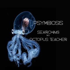 Psymbiosis - Searching my Octopus Teacher