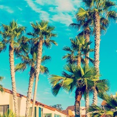 Chill Beats #6 (RÄVEN)