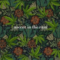 Ascent in the Rain