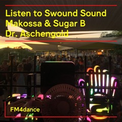 FM4 Swound Sound #1411