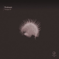 Shabaam - Whispering